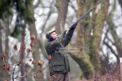 Pheasant Shooting Images by Betty Fold Gallery